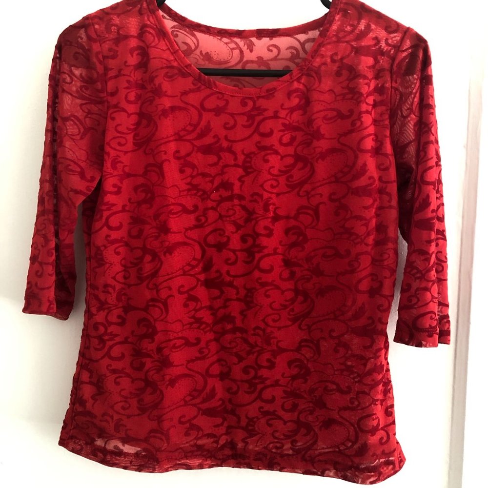 Red Mesh Top with Velvet Applique